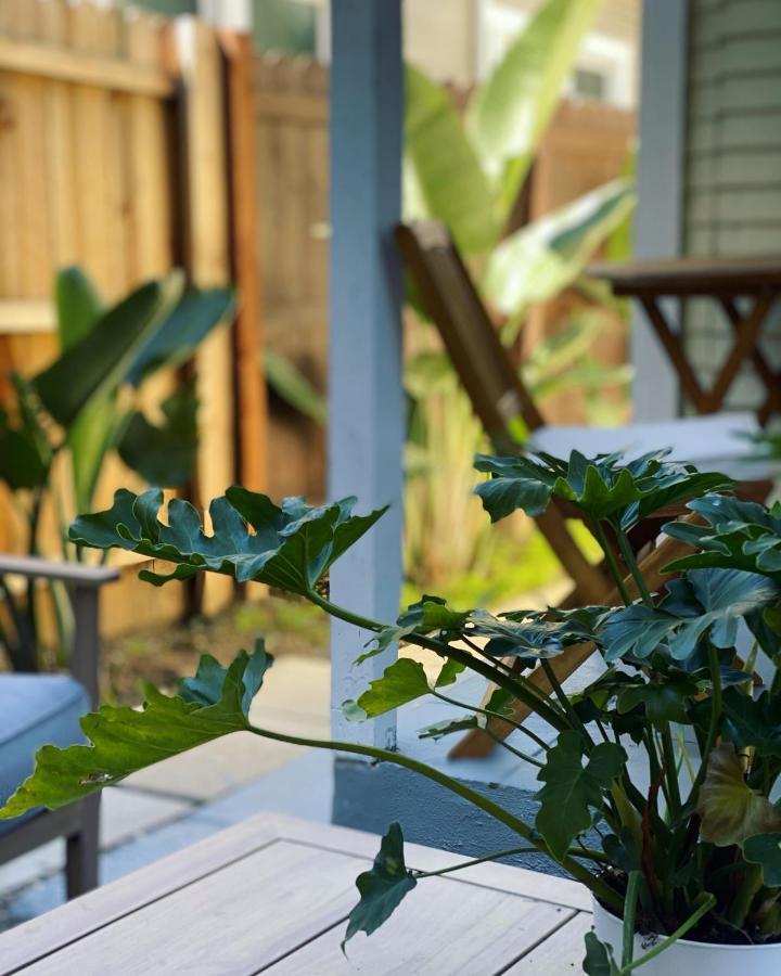 Lbc Paradise Bungalow Long Beach Exteriör bild